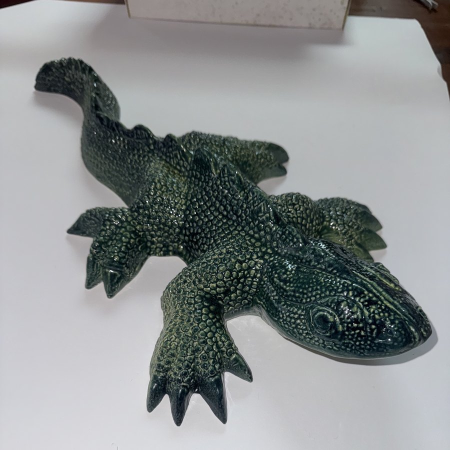 The lizard as photographed on a table
